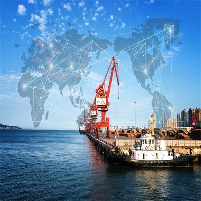 天津外貿進出口代理公司 專業解析進口貨物報關流程與農產品食品清關業務